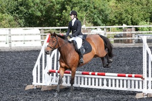 Class 3 -  Fences not above 2'3